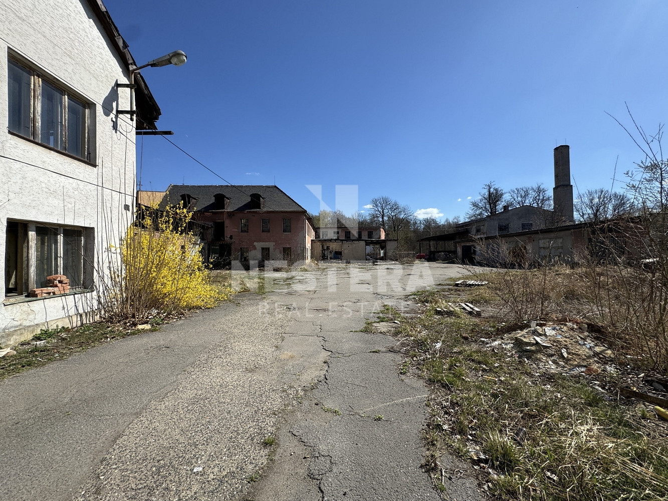 Prodej komerčního pozemku 10 000 m² – fotografie 2