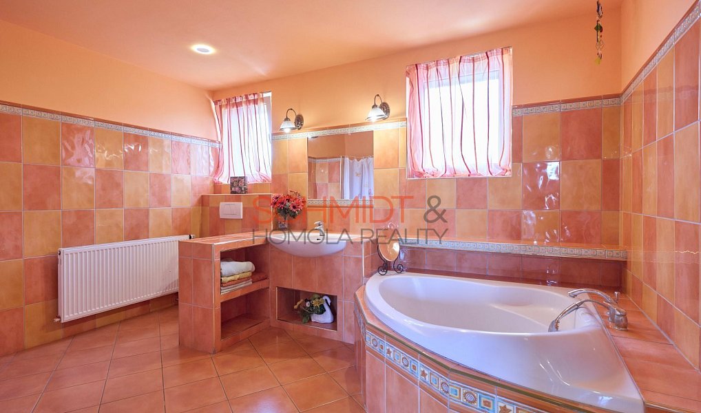 Prodej domu 437 m² s pozemkem 1 807 m², Hustopeče – náhled fotky 13