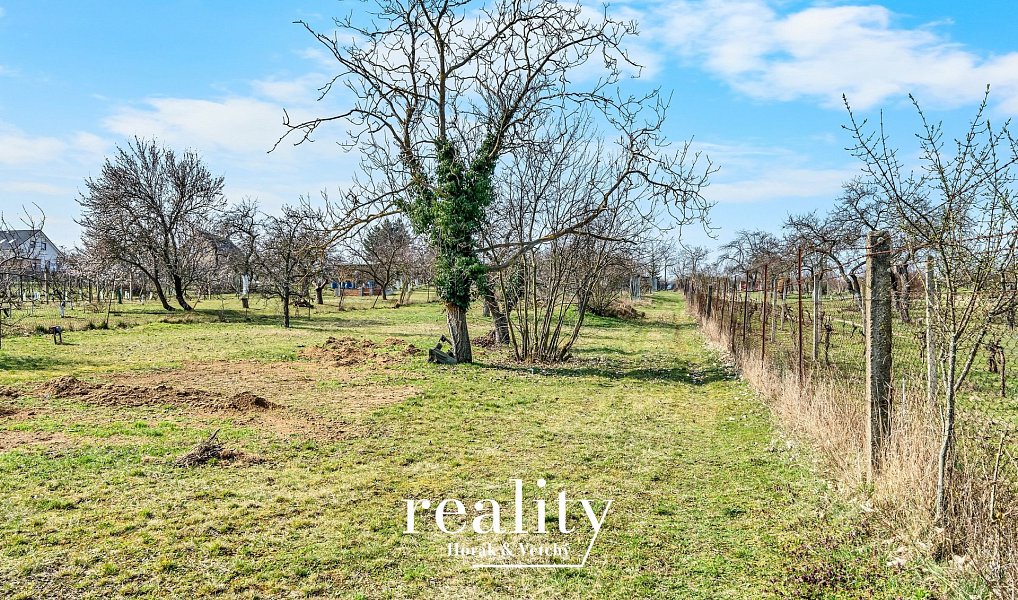 Prodej zahrady 2 152 m², Nový Šaldorf-Sedlešovice – náhled fotky 2