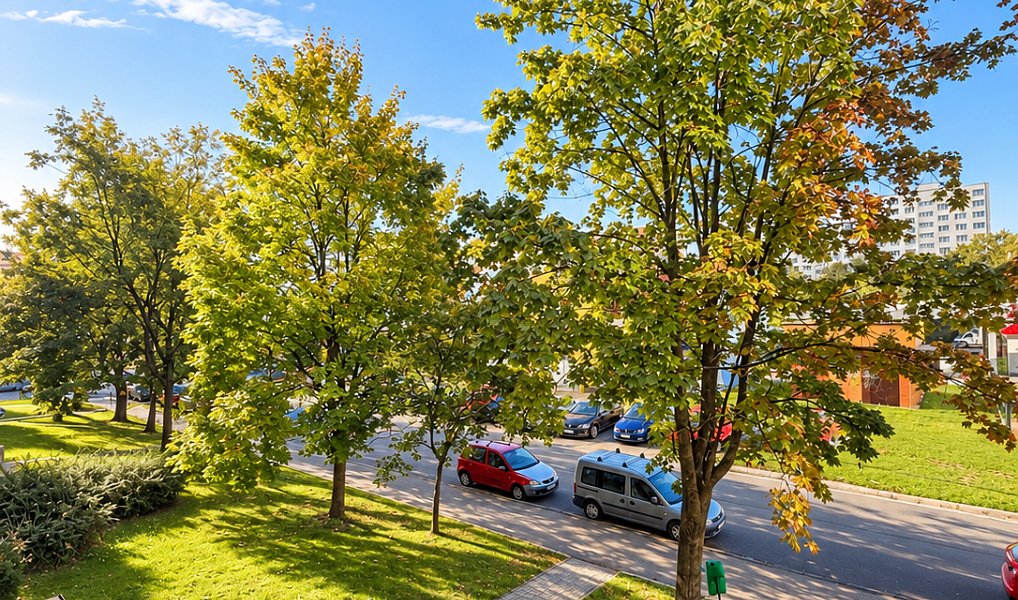 Prodej bytu 3+1 72 m², Ostrava – náhled fotky 18