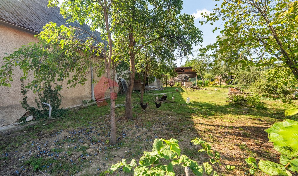 Prodej chaty/chalupy 88 m², Ratměřice – náhled fotky 5