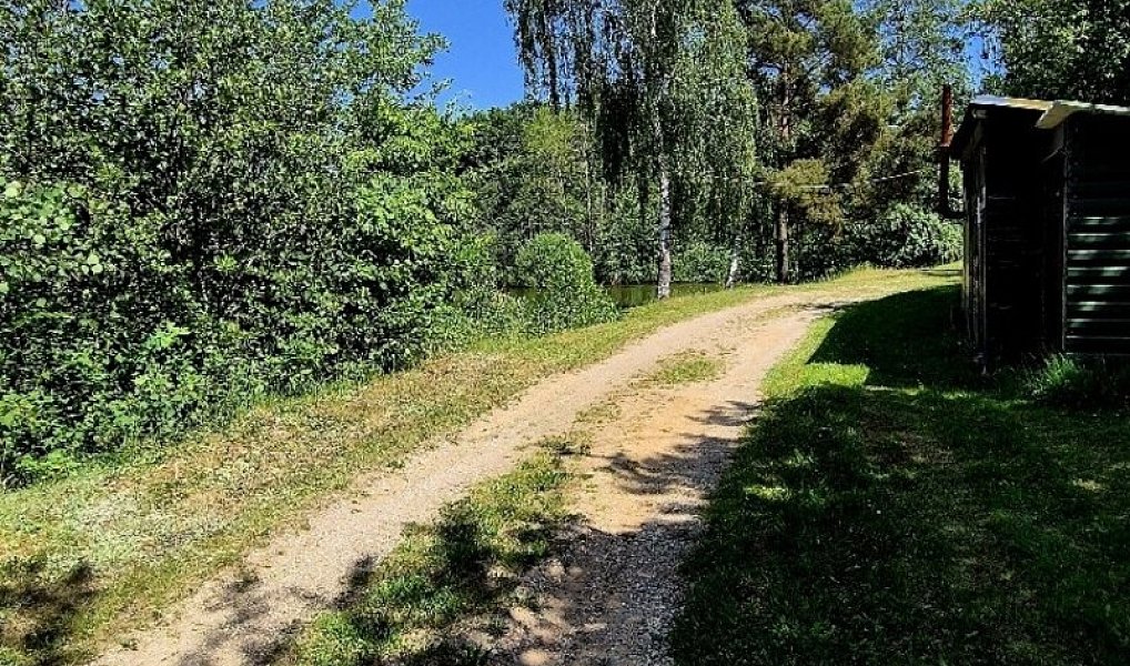 Prodej vodní plochy 8 425 m², Obruby – náhled fotky 9