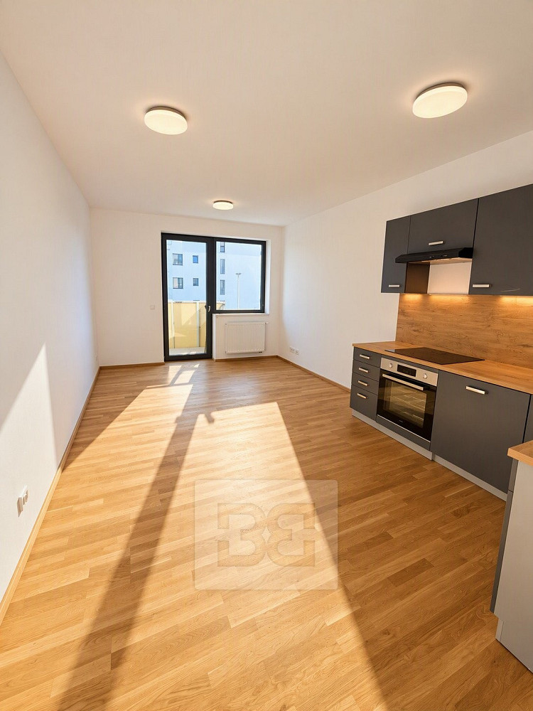 Pronájem bytu 2+kk 52 m² – fotografie 4