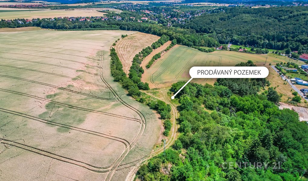 Prodej pole 1 495 m², Statenice – náhled fotky 8