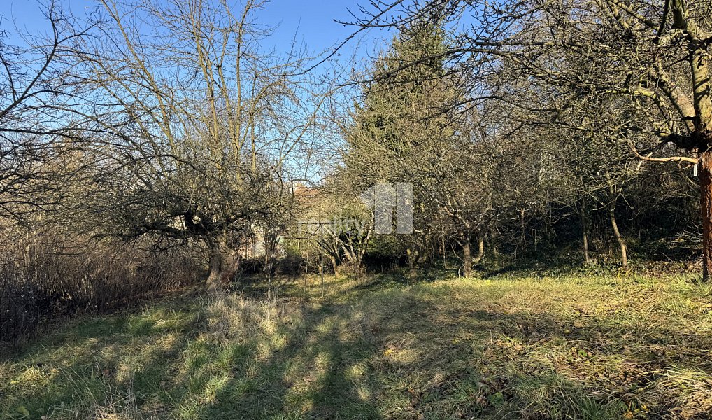 Prodej domu 76 m² s pozemkem 1 074 m², Ledeč nad Sázavou – náhled fotky 37