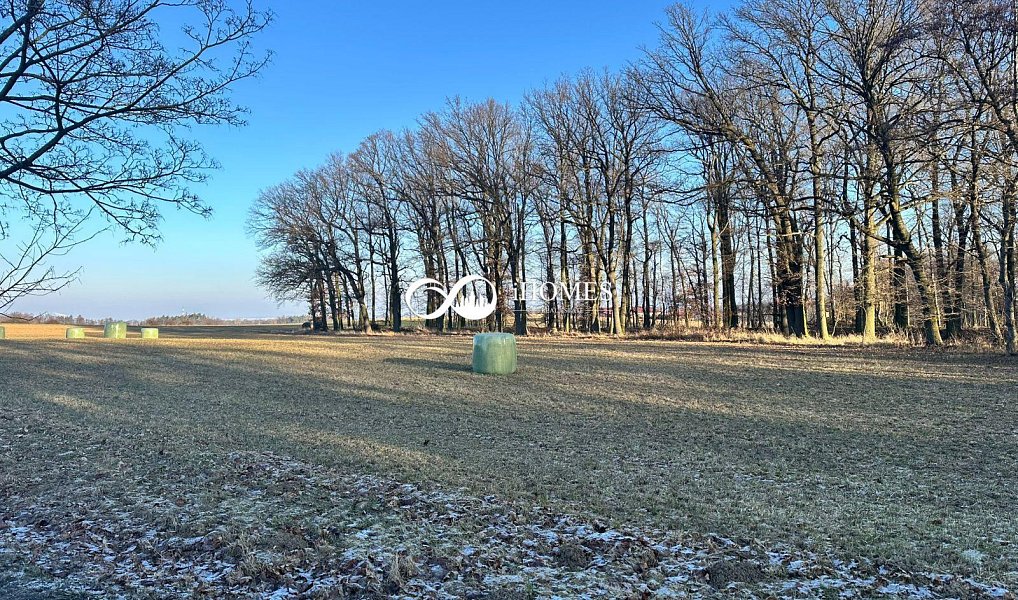 Prodej pole 2 400 m², Strančice – náhled fotky 2