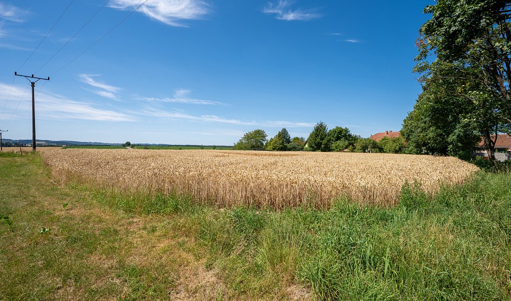 Prodej stavebního pozemku 4 800 m², Březí nad Oslavou – náhled fotky 9