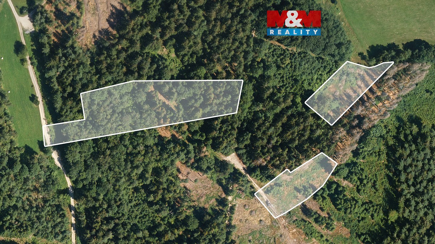 Prodej lesa 11 203 m²