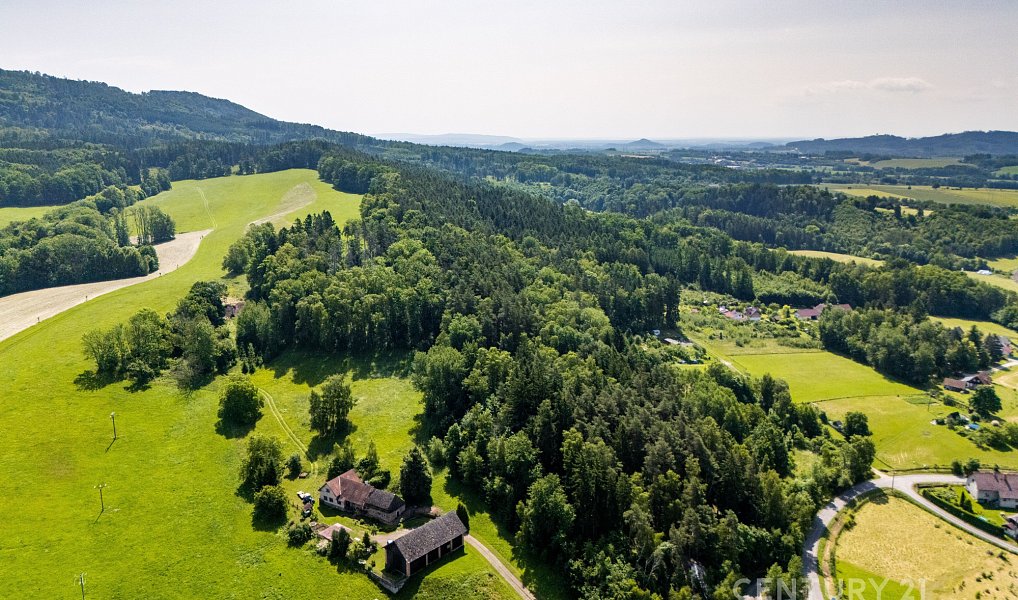 Prodej louky 11 026 m², Holenice – náhled fotky 7