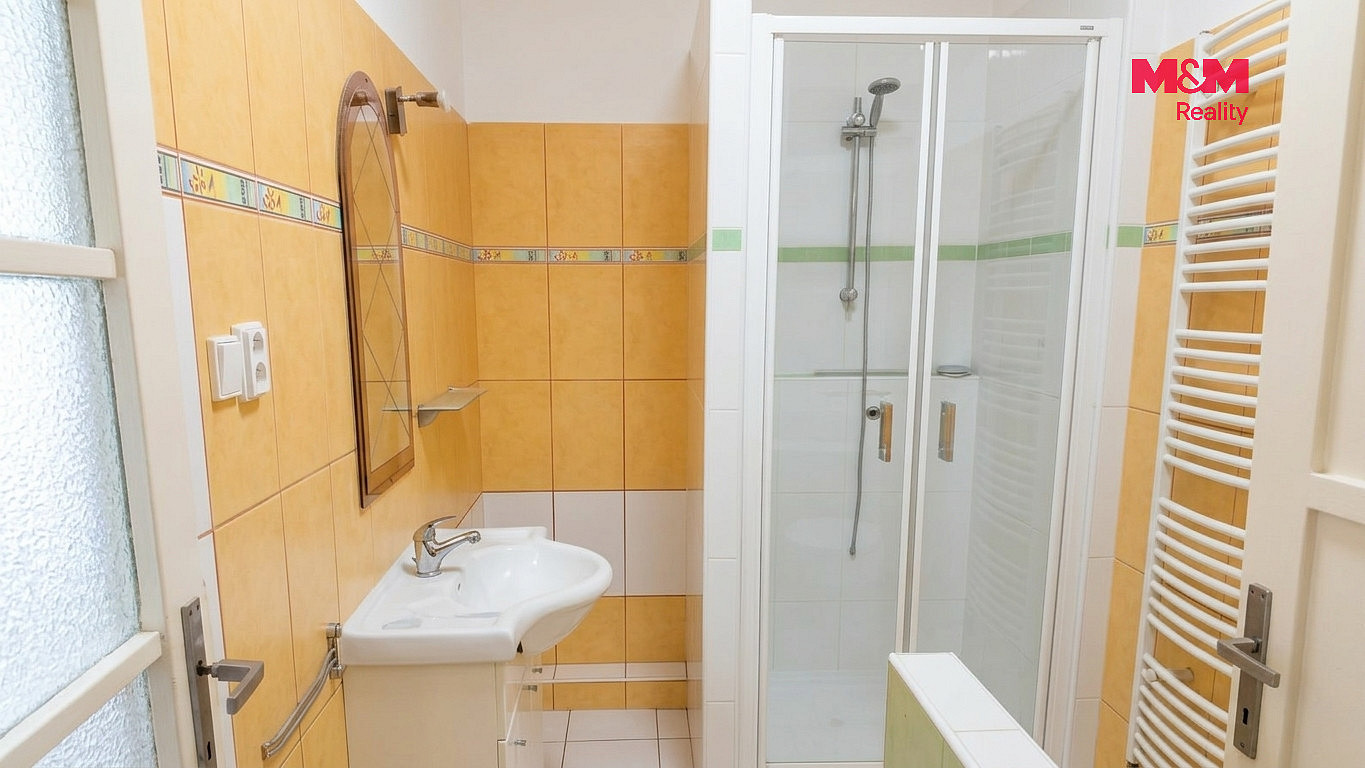 Pronájem bytu 1+1 49 m² — photo 3