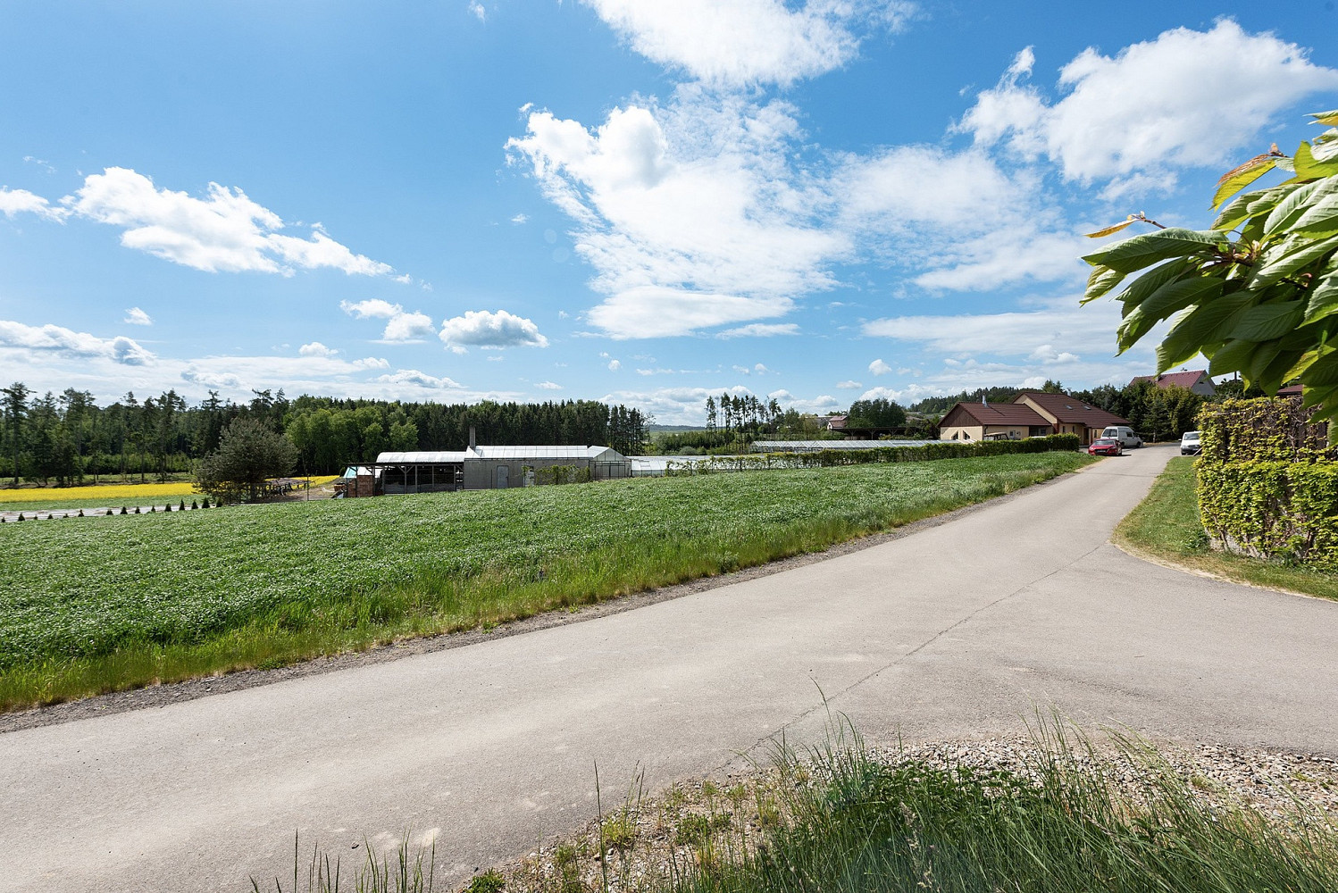 Prodej komerčního objektu (jiného typu) 956 m² – fotografie 2