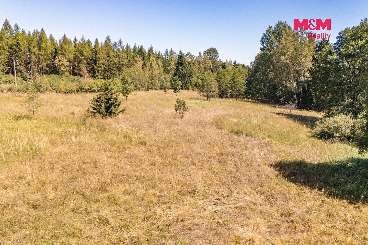Prodej louky 8 235 m² – fotografie 5