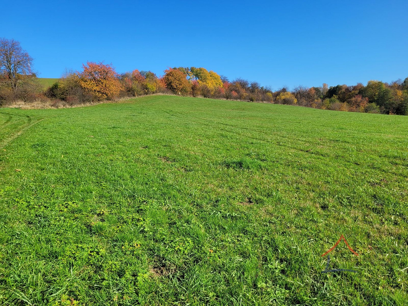 Prodej louky 52 559 m² – fotografie 4
