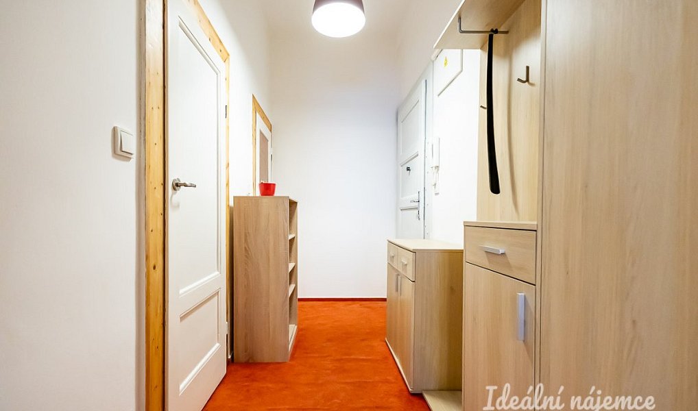 Pronájem bytu 1+kk 38 m², Praha – náhled fotky 9
