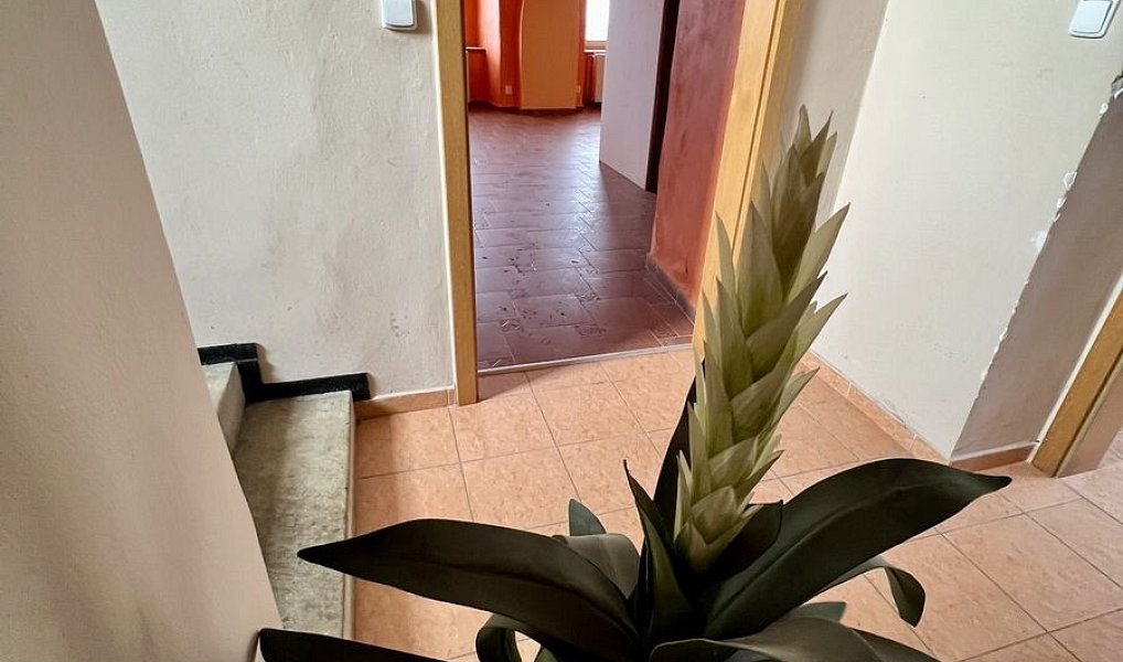 Prodej komerčního objektu (jiného typu) 344 m², Zaječice – náhled fotky 22