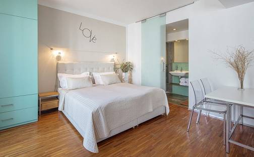 Pronájem bytu 1+kk 30 m², Holečkova, Praha 5 - Košíře