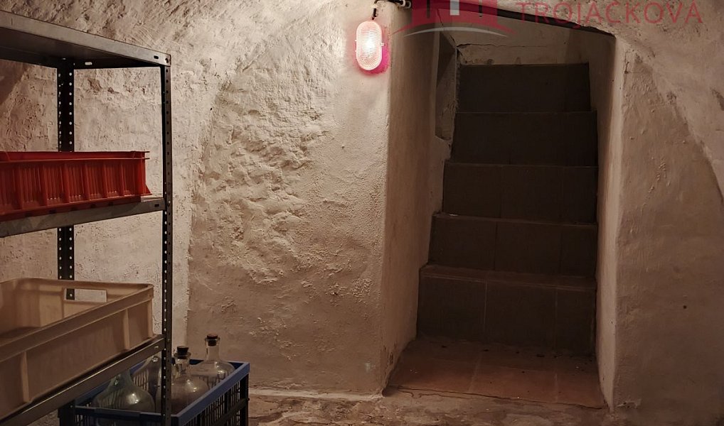 Prodej domu 260 m² s pozemkem 488 m², Rožnov pod Radhoštěm – náhled fotky 31