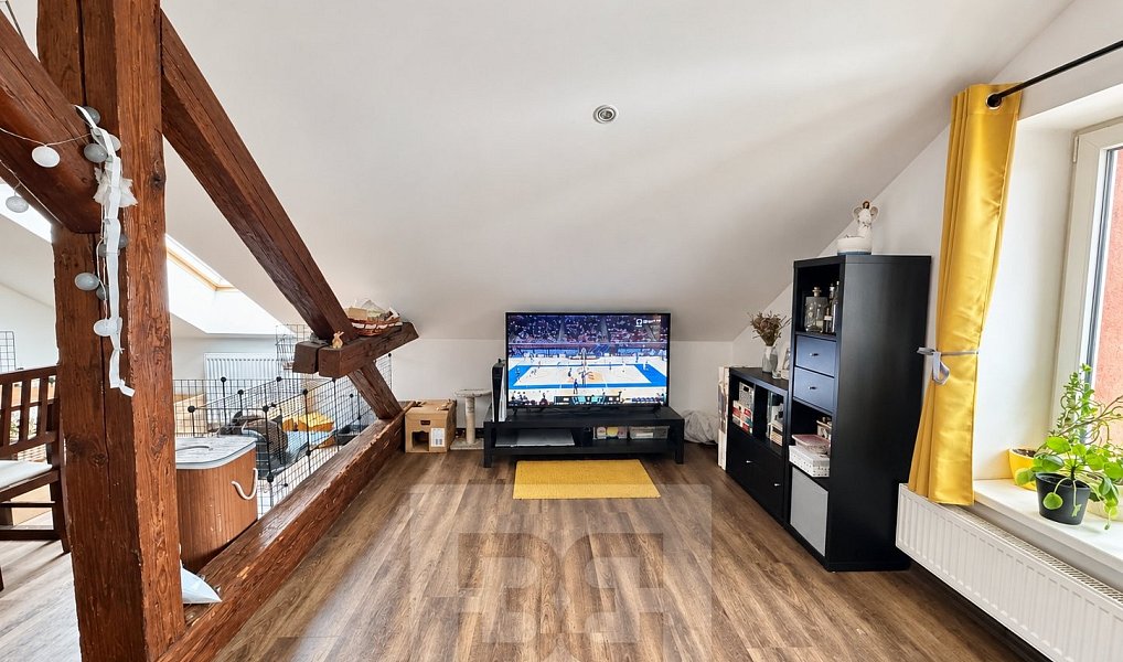Pronájem bytu 3+kk 100 m², Brno – náhled fotky 5