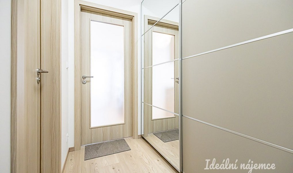 Pronájem bytu 1+kk 35 m², Praha – náhled fotky 6