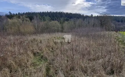 Prodej stavebního pozemku 2 983 m², Kynšperk nad Ohří - Zlatá, okres Sokolov