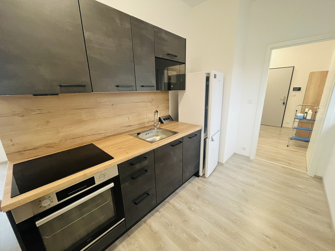Pronájem bytu 1+kk 60 m² – fotografie 4