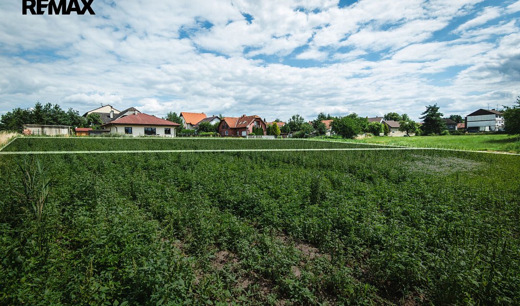 Prodej stavebního pozemku 800 m², Vitice – náhled fotky 7