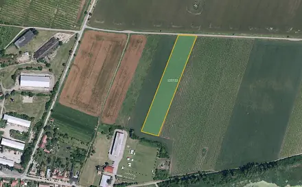 Prodej pole 12 651 m², Sedlec, okres Břeclav
