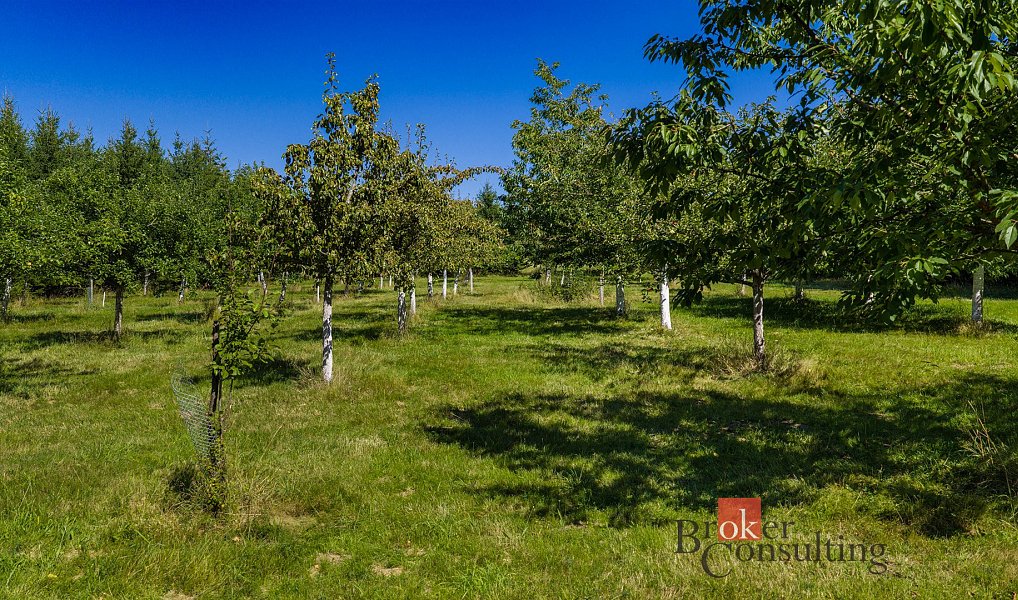 Prodej stavebního pozemku 12 049 m², Varnsdorf – náhled fotky 23