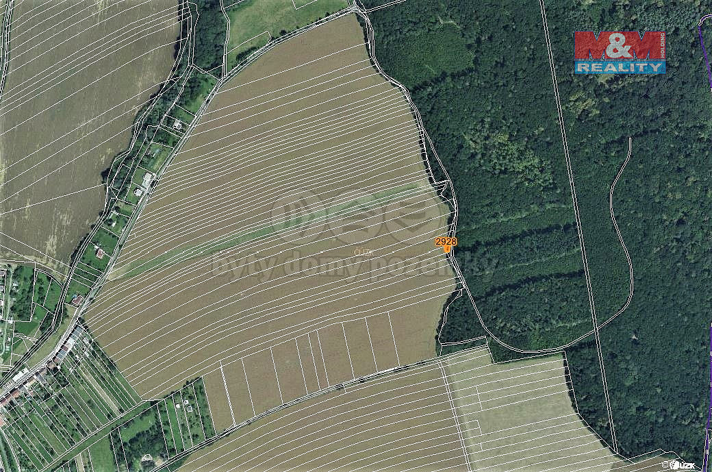 Prodej lesa 102 m² – pohled 3