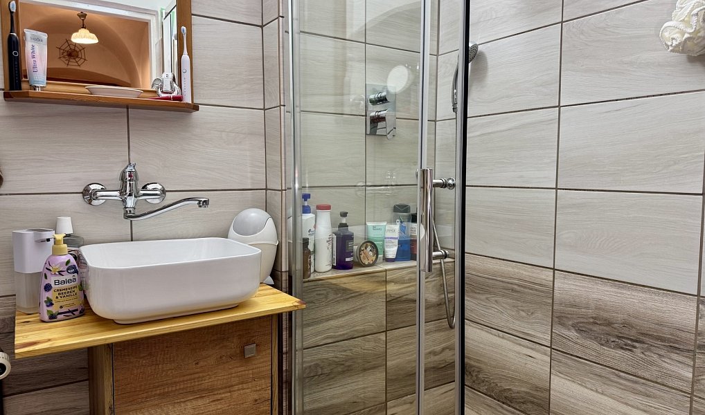 Prodej domu 206 m² s pozemkem 692 m², Budišov nad Budišovkou – náhled fotky 9