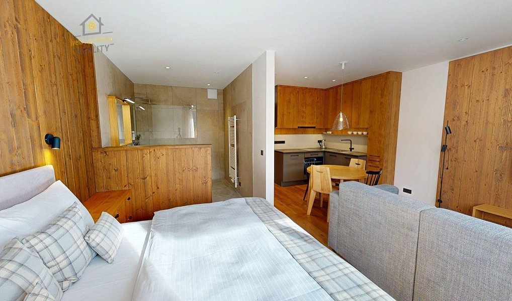 Prodej bytu 1+kk 56 m², Vítkovice – náhled fotky 12