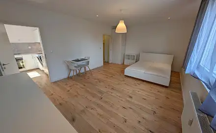Pronájem bytu 1+1 39 m², Sametová, Liberec - Liberec VI-Rochlice