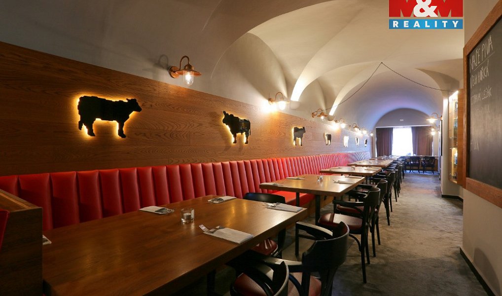 Prodej obchodních prostor 890 m², Olomouc – náhled fotky 12