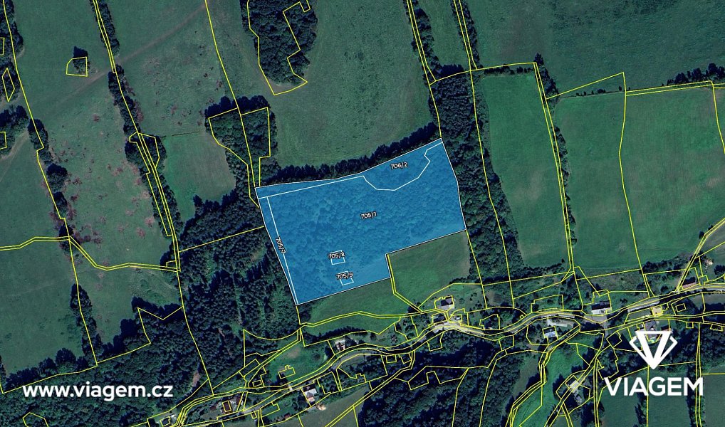 Prodej lesa 5 773 m², Skorošice – náhled fotky 4