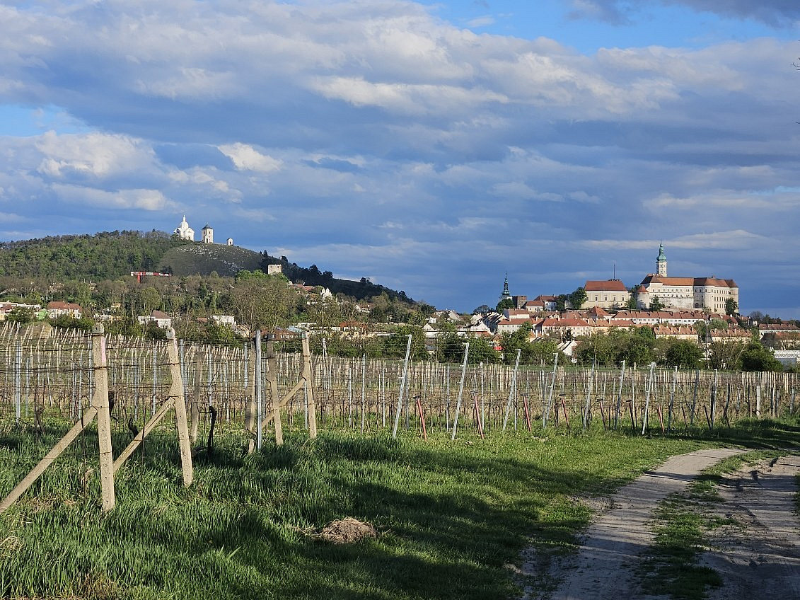 Prodej pozemku 4 809 m², Mikulov