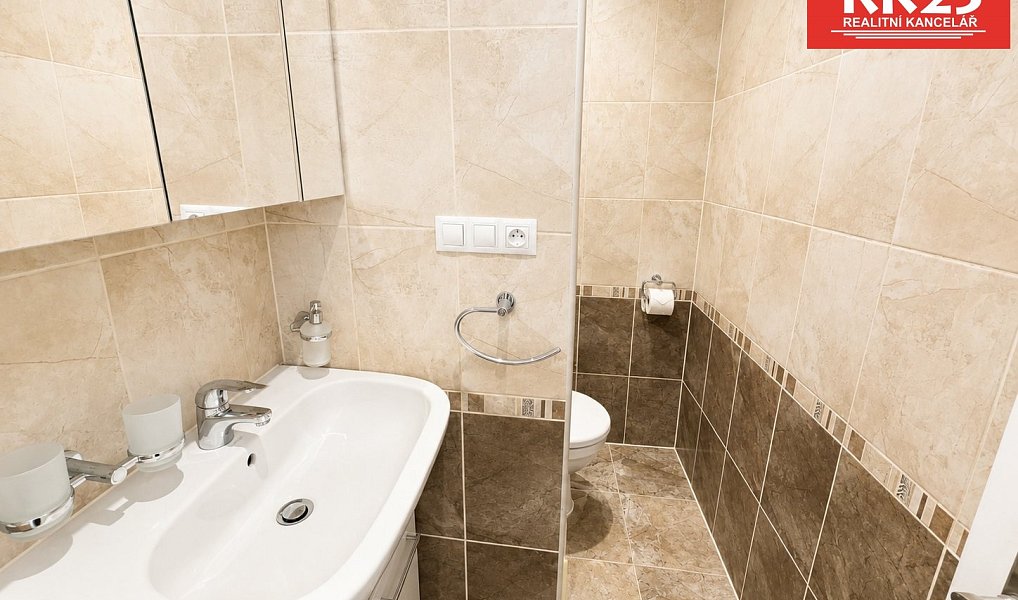 Pronájem bytu 1+1 35 m², Teplá – náhled fotky 10