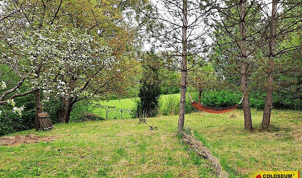 Prodej zahrady 1 242 m², Letovice – náhled fotky 3