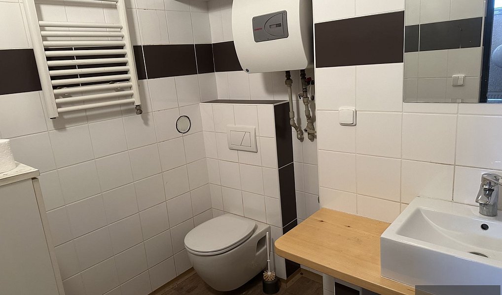 Pronájem obchodních prostor 286 m², Uherský Brod – náhled fotky 6