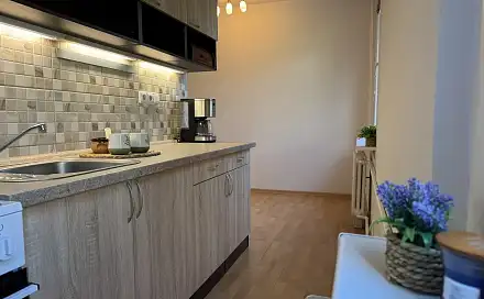 Pronájem bytu 2+1 56 m², Příčná, Děčín - Děčín III-Staré Město