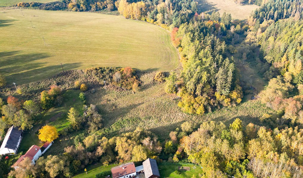 Prodej pozemku 15 970 m², Planá – náhled fotky 5