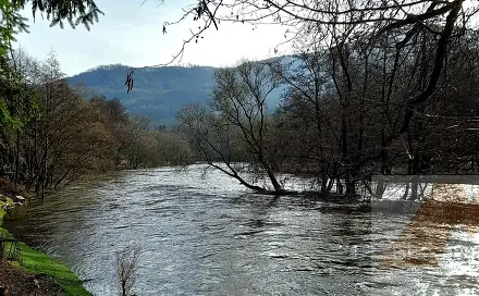 Prodej louky 14 614 m², Stráž nad Ohří, okres Karlovy Vary