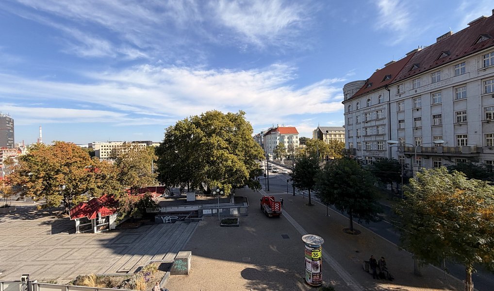Pronájem bytu 2+1 66 m², Plzeň – náhled fotky 6
