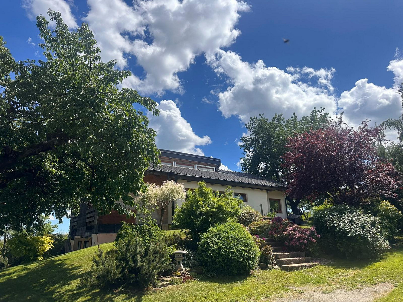 Prodej domu 135 m² s pozemkem 2 577 m²