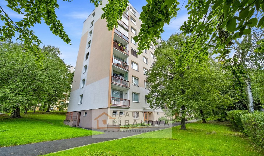 Pronájem bytu 1+kk 20 m², Ústí nad Labem – náhled fotky 23