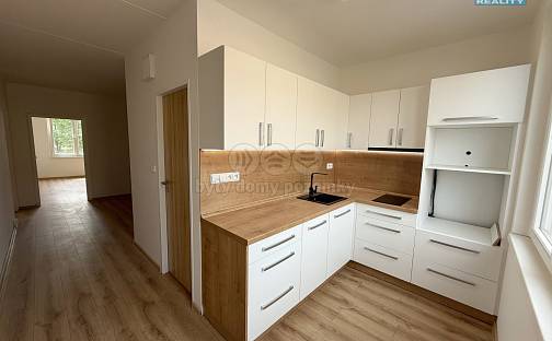 Pronájem bytu 2+1 65 m², Kpt. Nálepky, Louny