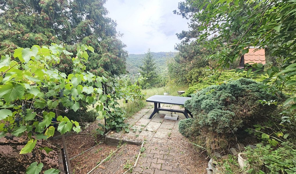Prodej chaty/chalupy 40 m² s pozemkem 1 098 m², Ústí nad Labem – náhled fotky 8