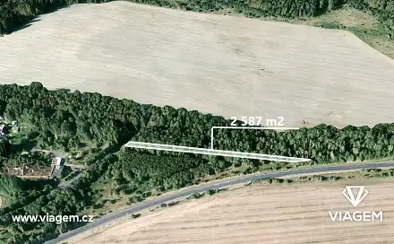 Prodej lesa 2 587 m², Cheb