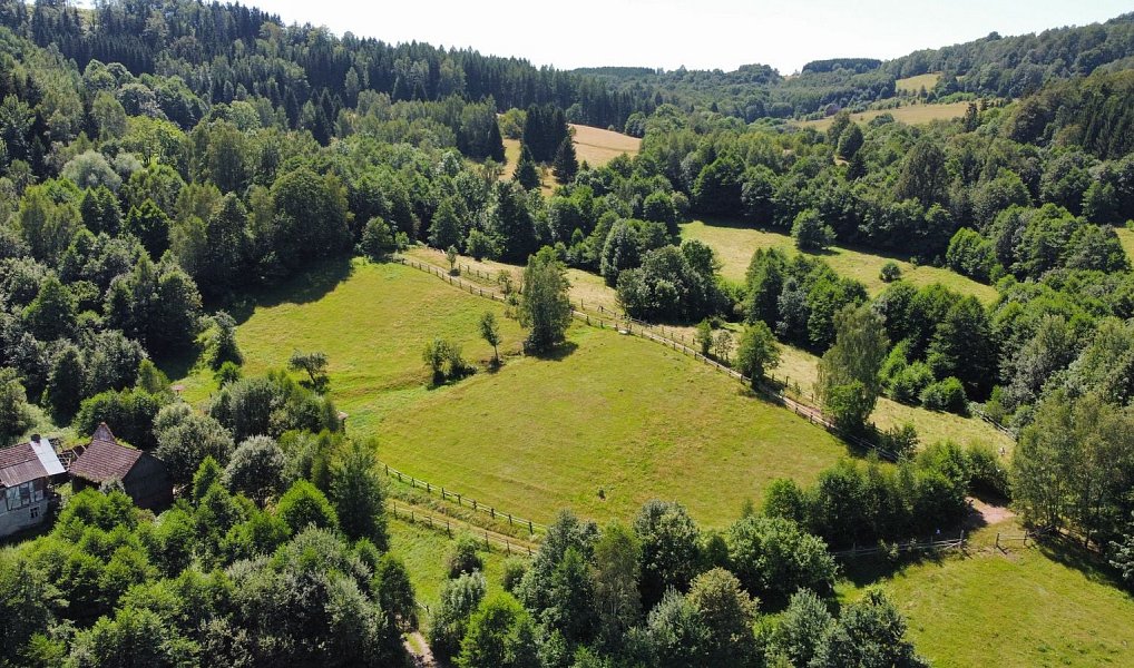 Prodej pozemku, 4589 m², Rychnov nad Kněžnou, Olešnice v Orlických horách