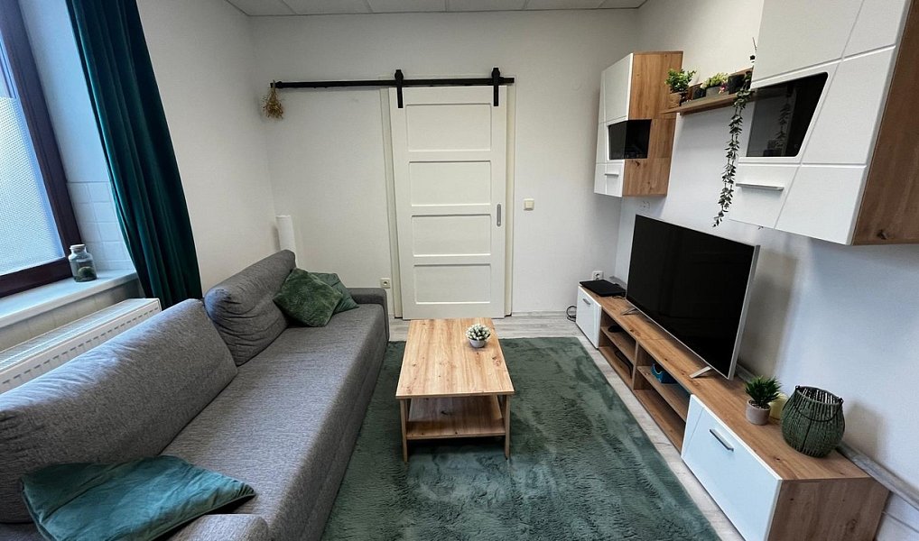 Pronájem bytu 2+1 57 m², Brtnice – náhled fotky 4