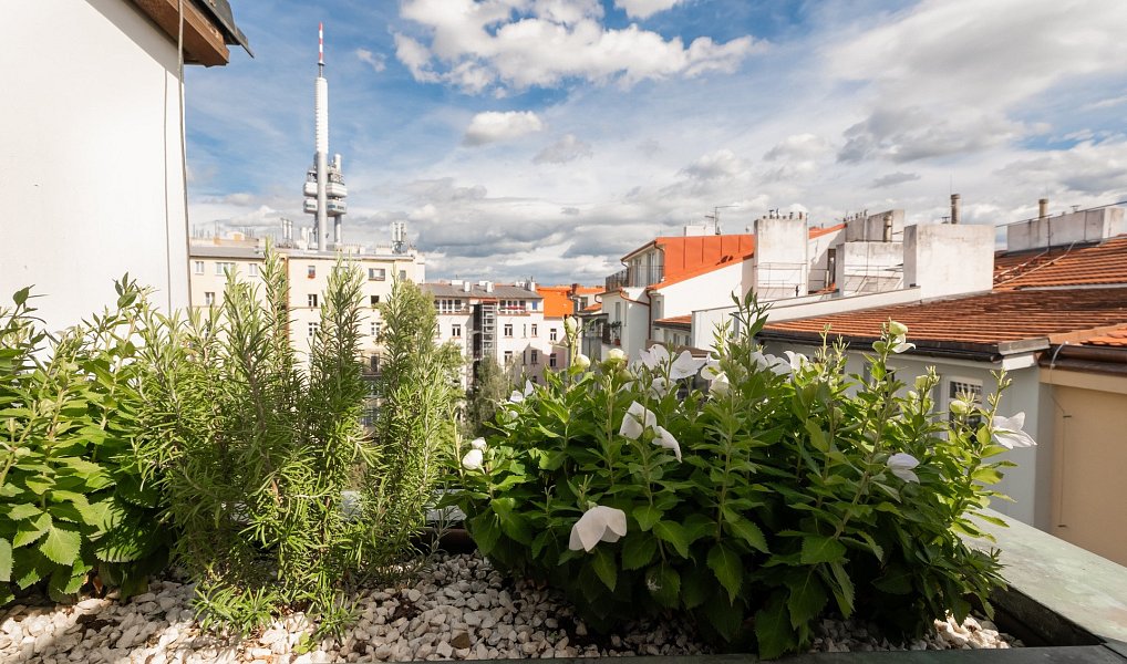 Prodej bytu 3+kk 83 m², Praha – náhled fotky 13